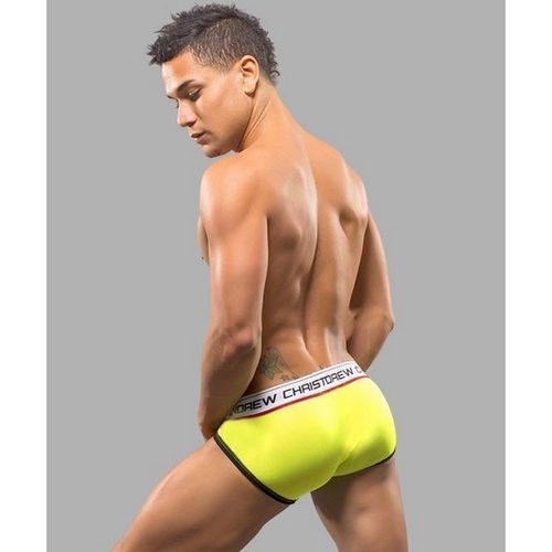 Мужские трусы брифы салатовые в сеточку Andrew Christian AC36