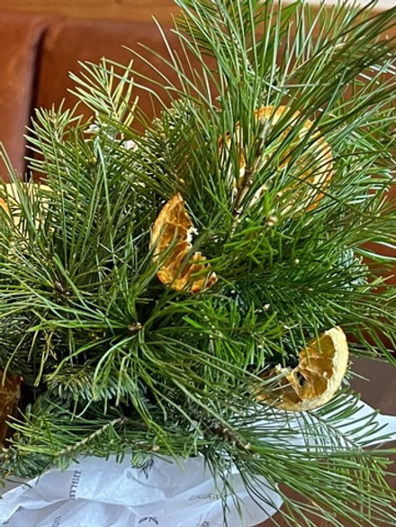 Композиция из хвои с апельсинами