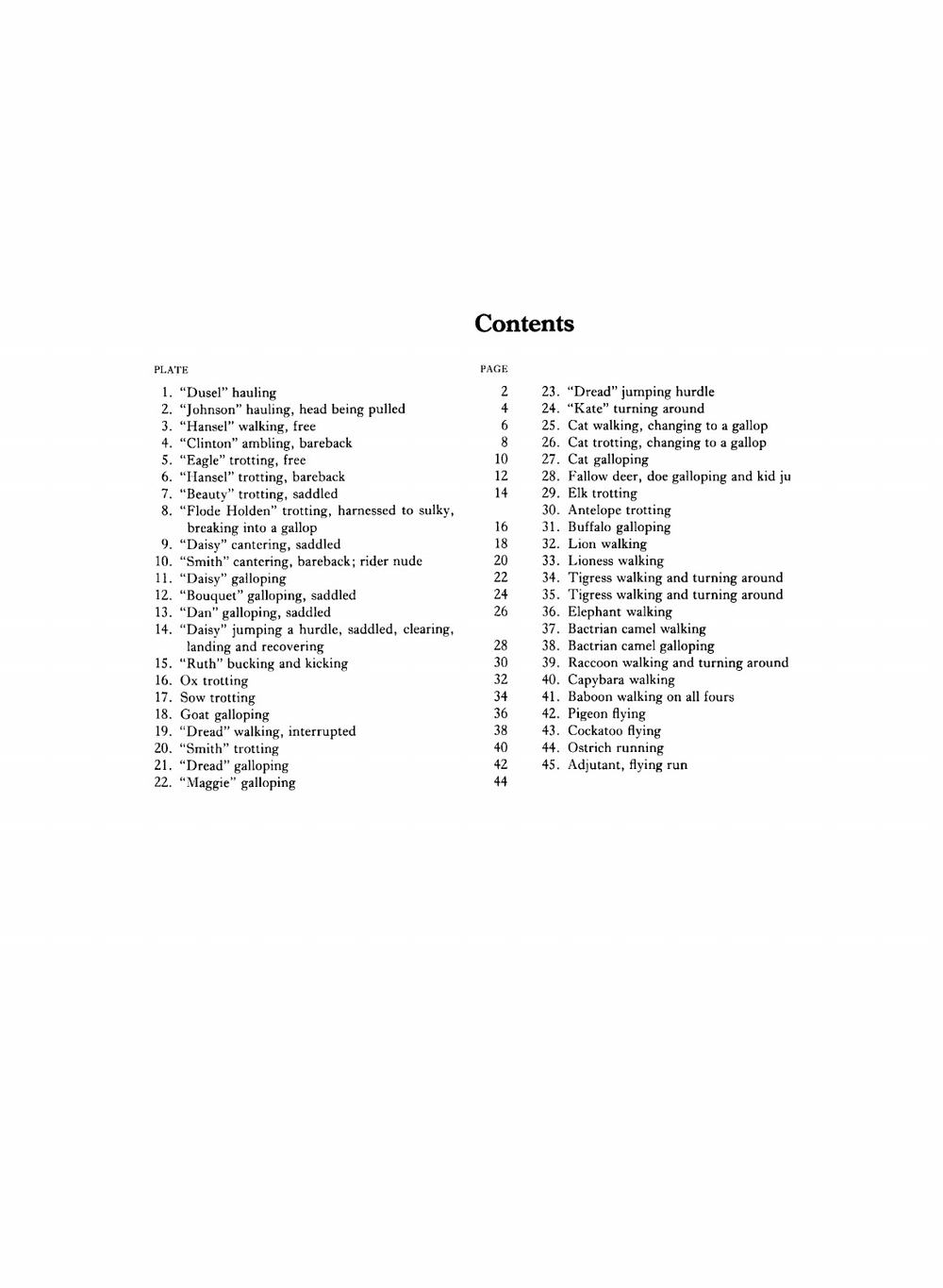 Horses and other animals in motion / Лошади и другие животные в движении | E. Muybridge