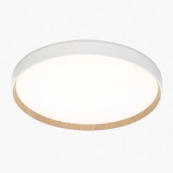 Citilux ETALON CL750400R LED RGB Светильник с пультом Белый+Бук