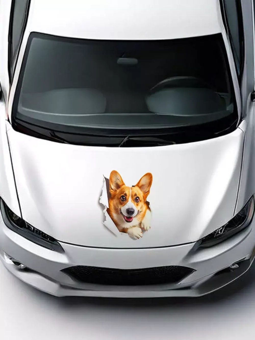 Наклейка с собачкой корги интерьерная прикольная