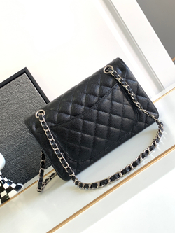 Chanel Bag 23 cm