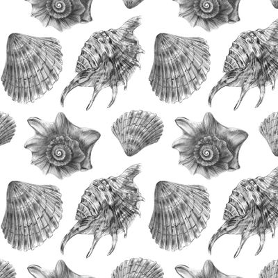 Паттерн  ракушки