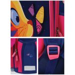 Ранец Berlingo Expert "Surprised cat" 37*28*16см, 2 отделения, 2 кармана, анатомическая спинка