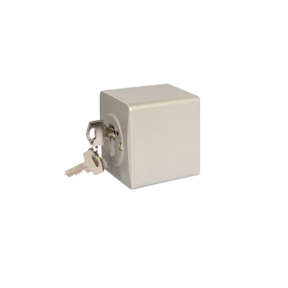 Замковый выключатель наружной проводки SOMFY ORION с/ф