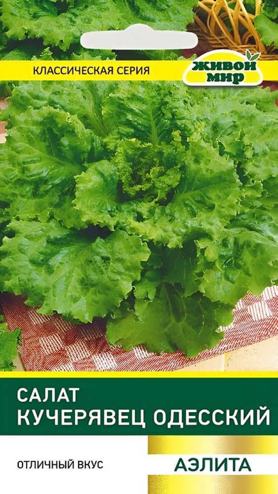 Салат листовой "ЖМ. Kyчepявeц Oдeccкий" 1г., Россия.
