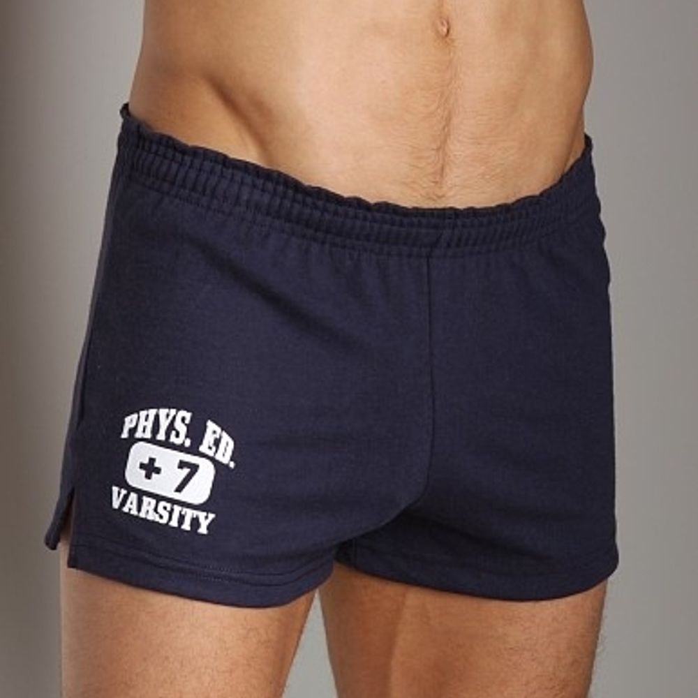Мужские шорты  спортивные темно-синие Andrew Christian PhysEd Varsity Shorts  4569