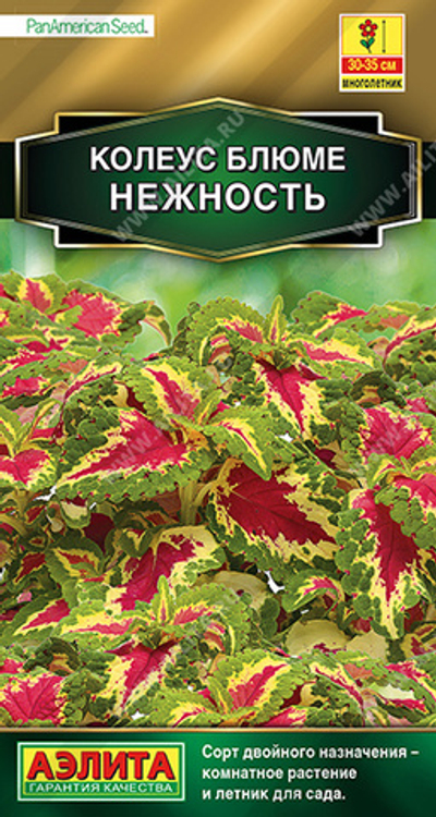 Колеус блюме Нежность 5 шт (Аэлита)