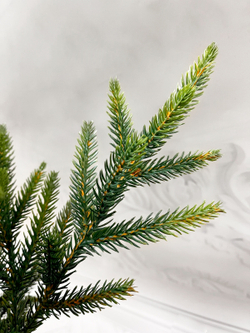 Ель TreeDeLuxe Королевская стройная 100% литая 230см зеленая