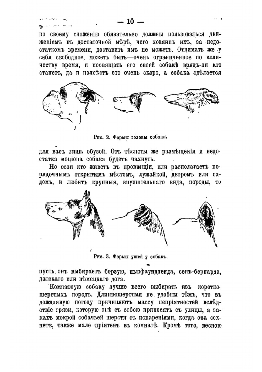 Сторожевые, охотничьи и комнатные собаки. Воспитание, кормление, содержание, дрессировка, первоначальная помощь в случаях заболевания и описание признаков различных пород | Капитанов В.И.