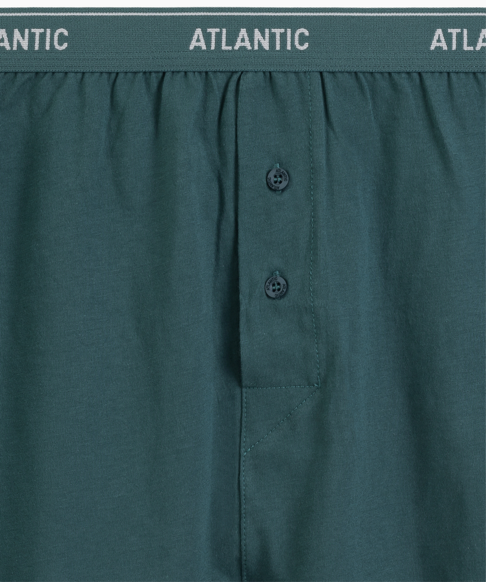 Мужские трусы боксеры Atlantic, 1 шт., хлопок, cветло-зелёные, RMX-001