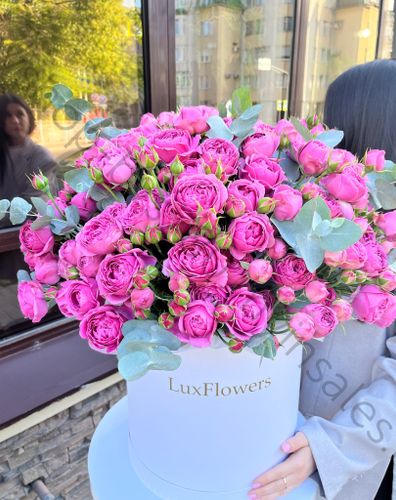 «Больше, чем у подруги»