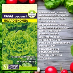 Зелень и овощи для Вашего сада