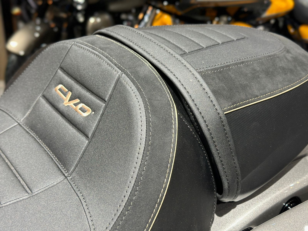 Harley-Davidson CVO Street Glide NEW, 2024 "Dark Platinum"