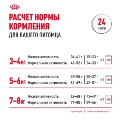 Royal canin british shorthair adult для британских короткошерстных кошек старше 12 месяцев - 2 кг