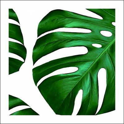 Картина 50*50 см «Листья монстеры» N490