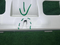 Бампер передний Toyota LC Prado 150 (2020-н.в.)