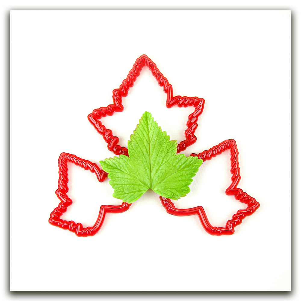 Лист смородины крупный