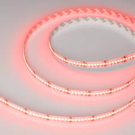 Светодиодная лента CSP-X840-12mm 24V RGBW-Day (17.2 W/m, IP20, 5m) (Arlight, 5 лет) 046936