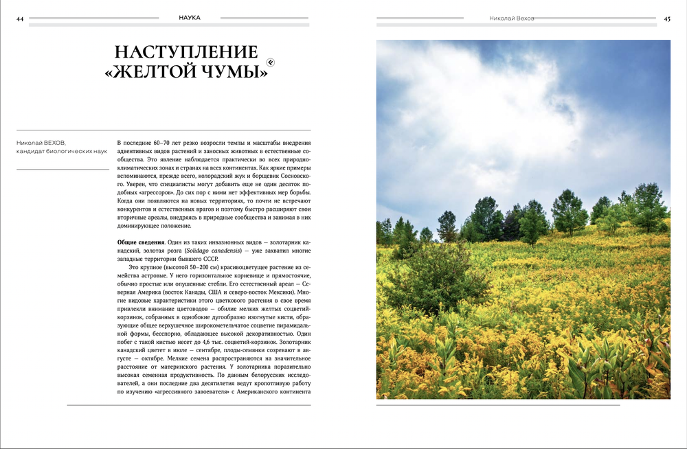 Цветоводство ЛЕТО 2023