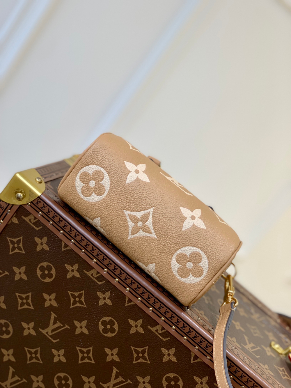 Louis Vuitton Nano Speedy