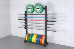 Стеллаж для хранения грифов и дисков 1100-1950