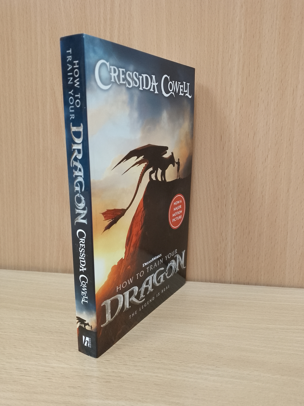 How to Train Your Dragon (Cressida Cowell)