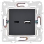 SKANDY Розетка USB A+C 18Вт SK-R13T титан IEK