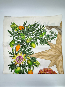 Платок Passiflores Hermes