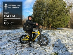 Электрофэтбайк Eltreco BRO 750