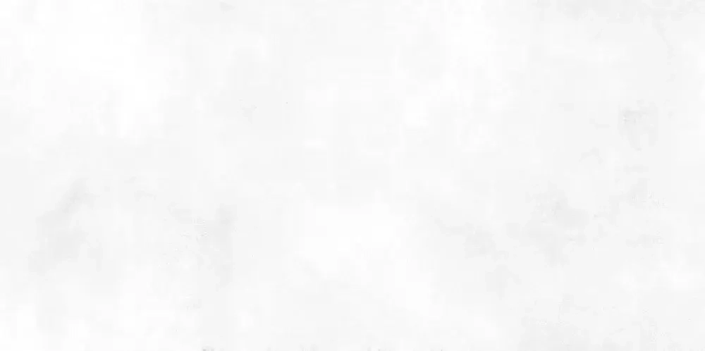 Настенная плитка ALMA Ceramica TWU09RCD000 Richard 50x24.9 белая глянцевая под бетон