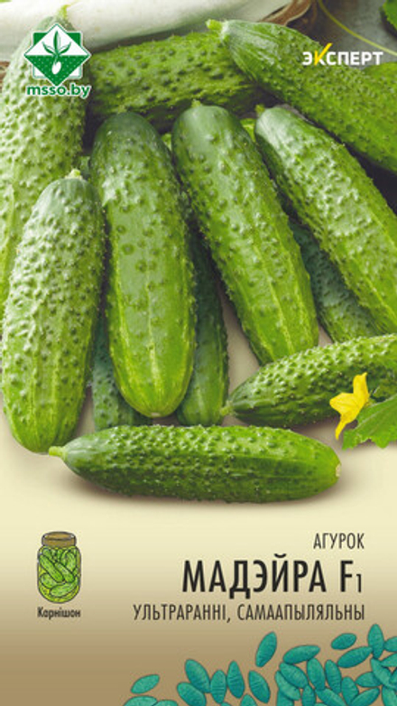 Огурец "Мадейра F1" 5шт, Нидерланды.