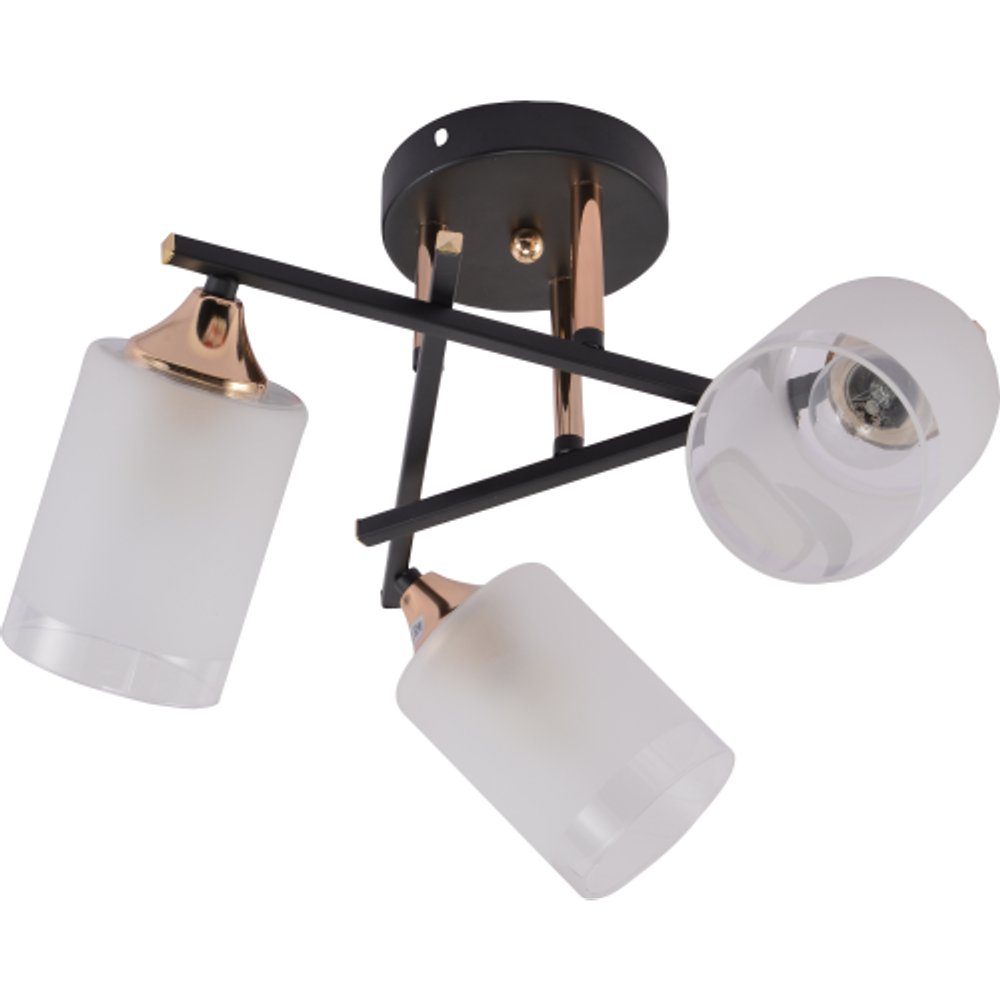 Люстра Rivoli Fiona 3163-303 3 х Е27 60 Вт модерн | Rivoli