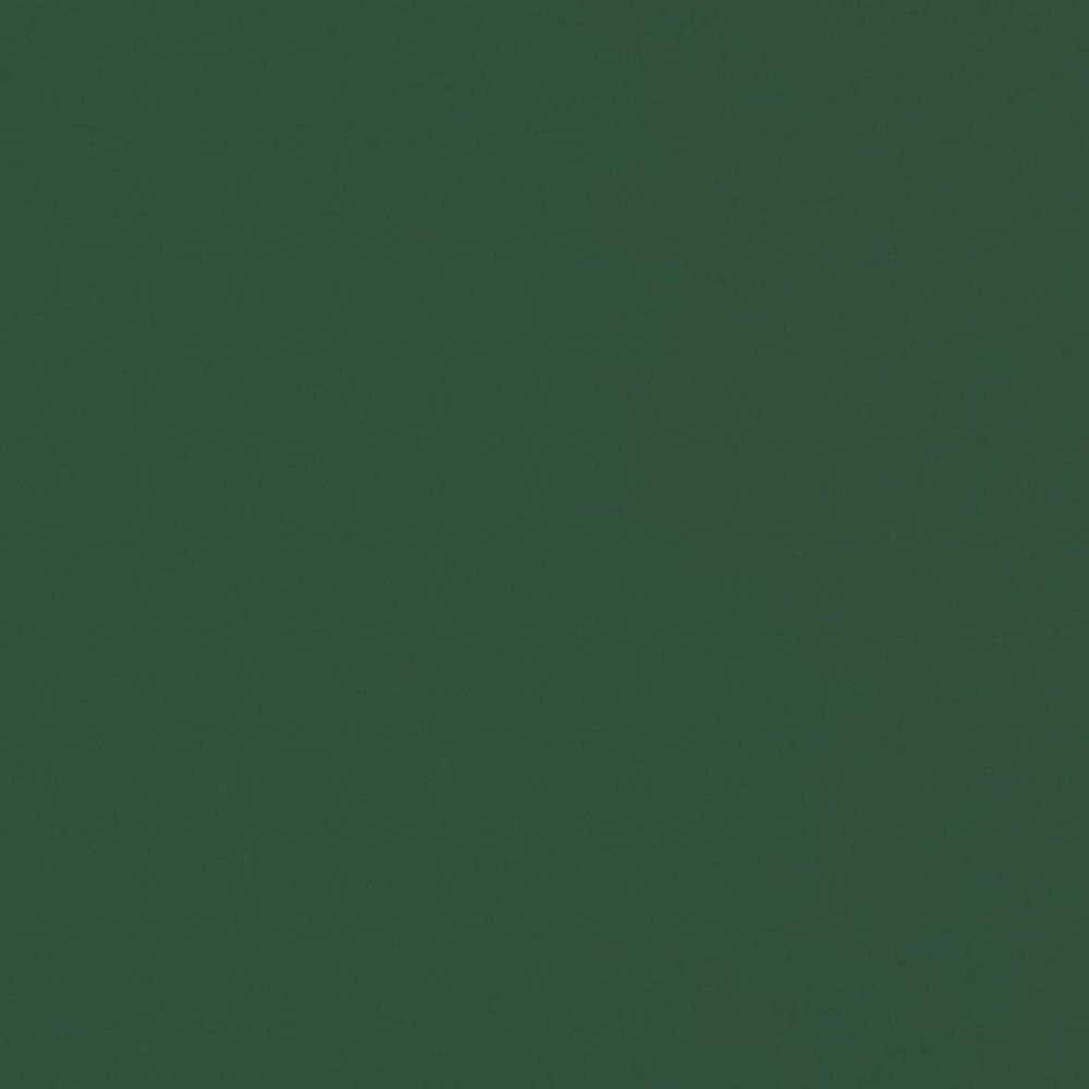 Фон бумажный FST 2,72х11 1006 Dark Green (Тёмно-Зелёный)