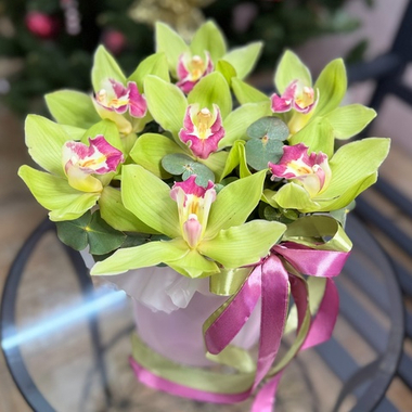 Шляпная коробка с 7 фисташковыми орхидеями