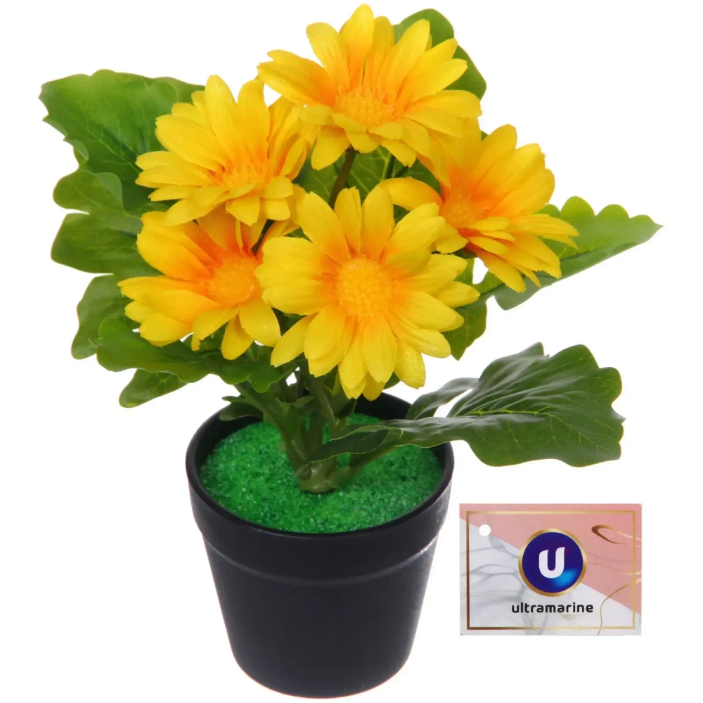 Цветочная композиция «Поцелуй лета» Хризантема желтая 20см