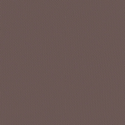 Велюр Blitz / Блитц