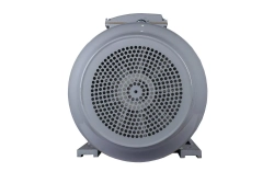 Электродвигатель ESQ PR 315 S4-SDN-Б1-S12-IE3 110/1500 IMB3