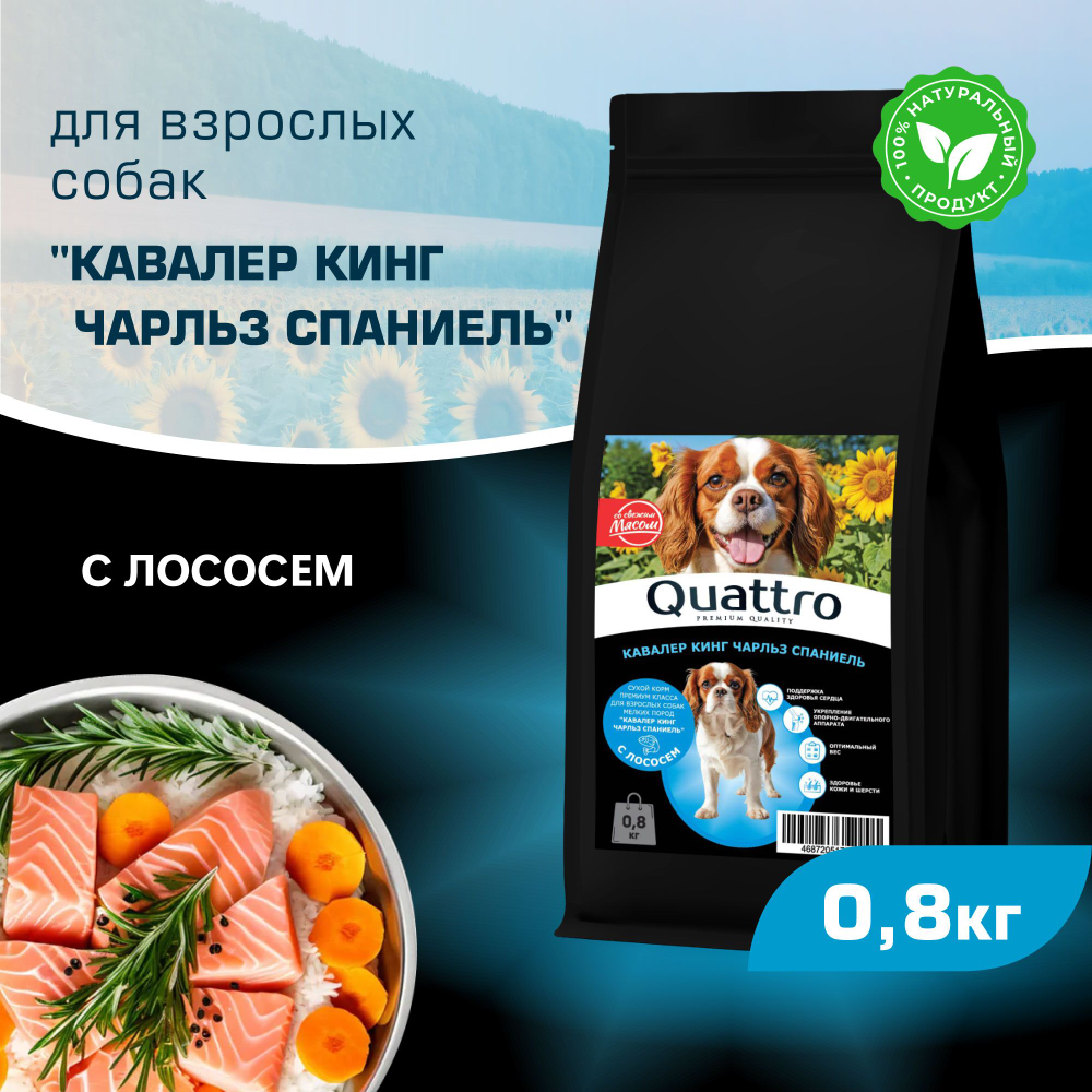 Корм сухой для взрослых собак породы Кавалер кинг Чарльз спаниель, с лососем, 800 гр, QUATTRO