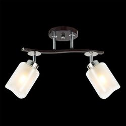 Спот Citilux Фортуна CL156122