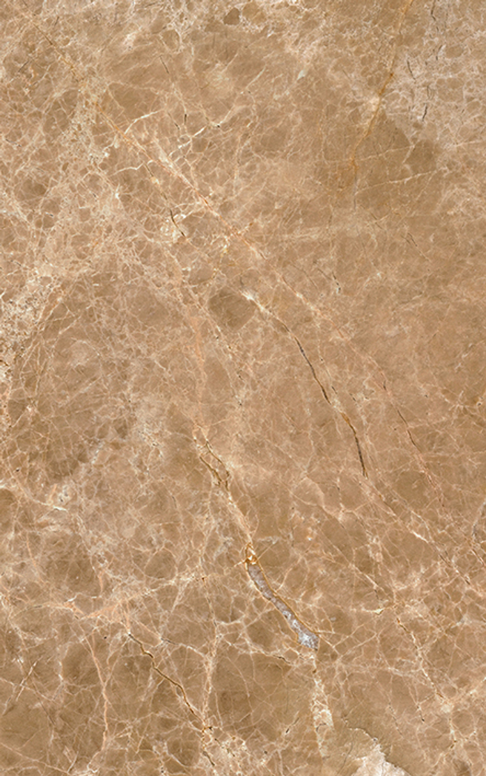 Illyria cappuccino 09-01-11-395 Плитка настенная 25x40