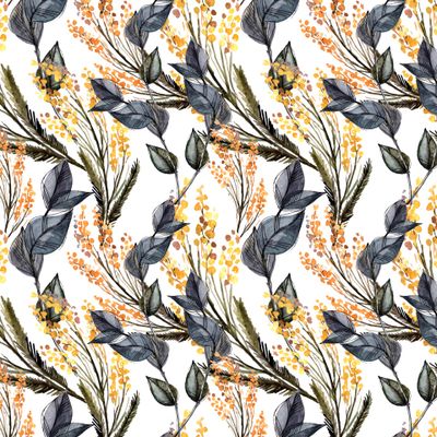 мимоза и эвкалипт