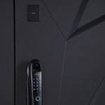 Стальная дверь "Амстердам" (биометрический замок DZ 888). Заказная модель.