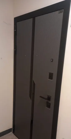 Входная металлическая дверь CARBON (Карбон) с зеркалом 18 Бетон светлый / Графит Лофт