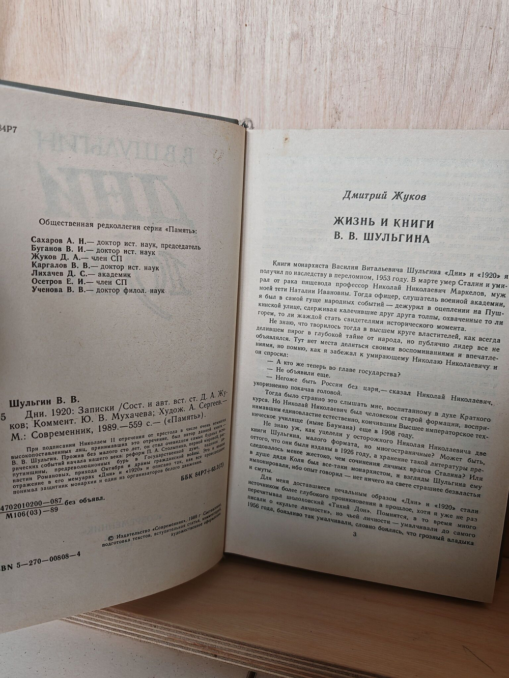 Дни. 1920: Записки