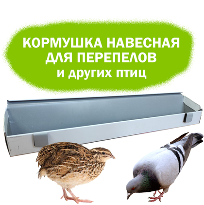 Навесная кормушка для перепелов 48 см