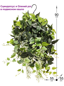 Искусственное растение Сциндапсус и Олений рог в подвесном кашпо