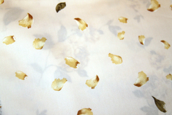 Ткань для штор Mediterraneo Petalos (Медитерранео Петалос) B 04 Dore