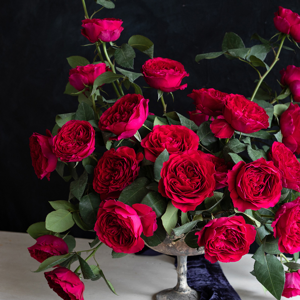 🌸 Дарси — букет английских роз Дэвида Остина — 8 марта у Феи