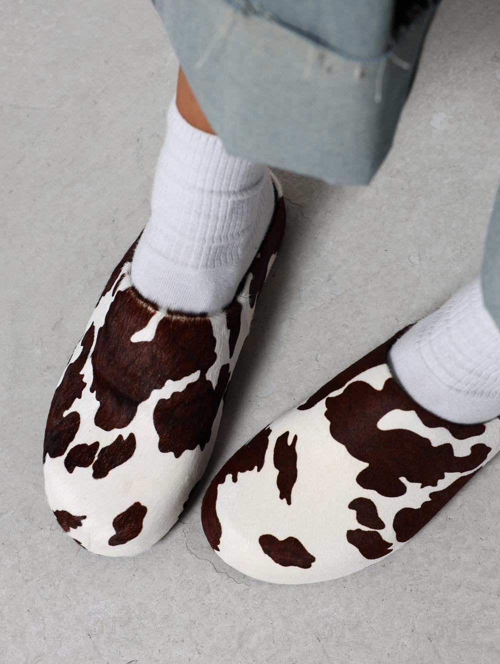mule cow